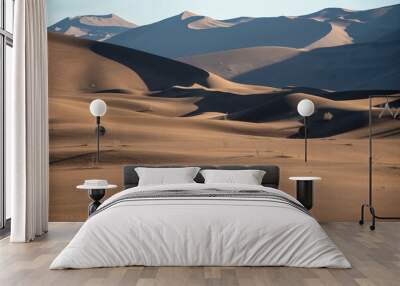 view from Nature and landscapes of dasht e lut or sahara desert. Middle East desert Wall mural