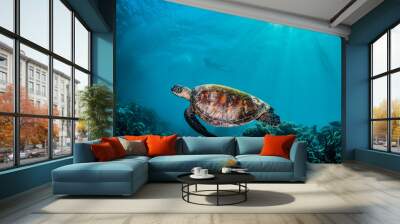 Green turtle swimming around in the wild among colorful coral reef Wall mural