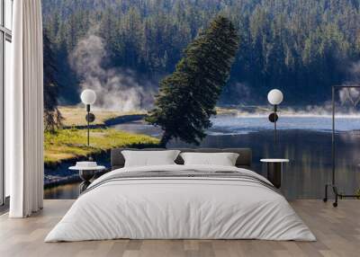 Lone tree leaning over the Snake River at the south entrance sign pull out of Yellowstone National Park in Wyoming during summer Wall mural