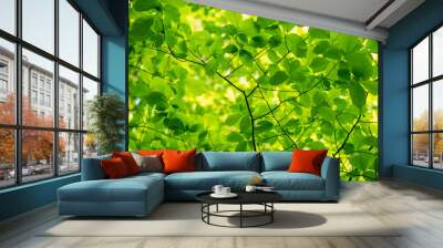 Leaves Wall mural