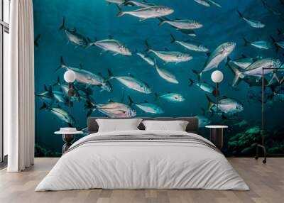 Pelagic schooling fish swimming in deep blue ocean Wall mural