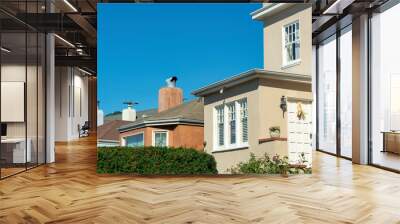 Row of house detail facades with front or back door visible on brown stuco house with white accents and orange building Wall mural