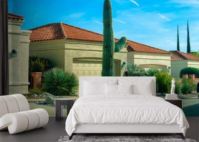 Row of modern adobe houses in desert suburban community with rock garden and cactuses with arizona plants in front yard Wall mural