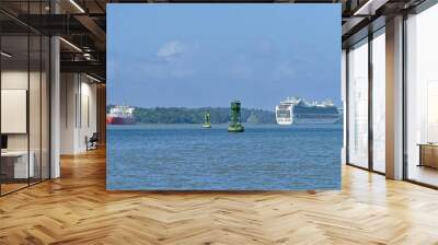 Two ships in Gatún Lake (Panama Canal) Wall mural