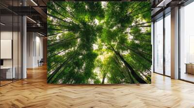 arashiyama bamboo grove Wall mural