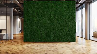 Seamless dark green grass texture Wall mural