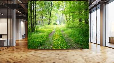 A dirt road through the green summer forest on a clear day, sun rays through the tree trunks. Old historical building in the background. Environmental conservation, recreation theme. Finland Wall mural