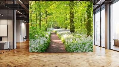 Pathway through the forest with blooming wild garlic (Allium ursinum). Stochemhoeve, Leiden, the Netherlands. Picturesque panoramic spring scene. Travel destinations, eco tourism, ecology, pure nature Wall mural