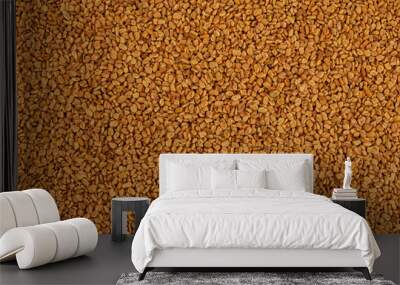 Texture of yellow fenugreek seeds or shambhala, helba seeds as food background. Fenugreek is traditional Indian seasoning. Top view, close-up Wall mural