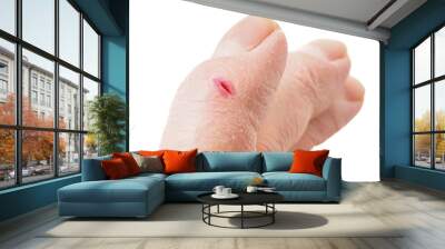 Closeup of finger with infected cut, isolated on white backgroun Wall mural