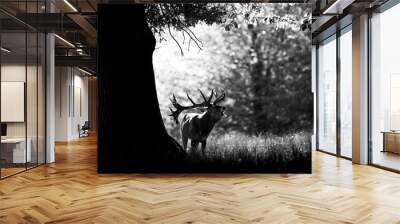 Deer in the forest Wall mural