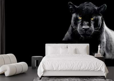 Jaguar with a black background Wall mural