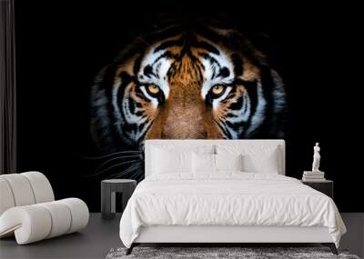 Portrait of a Tiger with a black background Wall mural