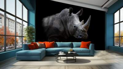 Portrait of a white rhino with a black background Wall mural