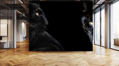 Template of Black panther with a black background Wall mural