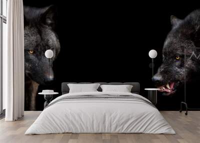 Template of black wolf with a black background Wall mural