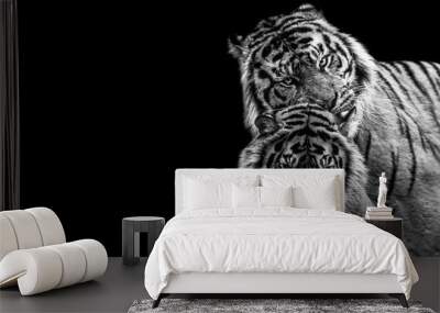 Template of Tiger in B&W with black background Wall mural