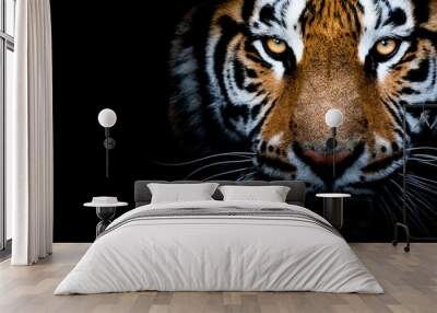 Tiger with a black background Wall mural