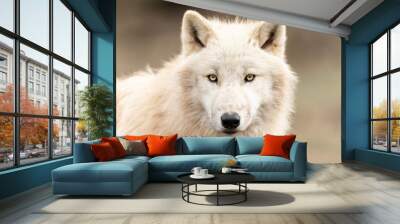 White Wolf in the forest Wall mural