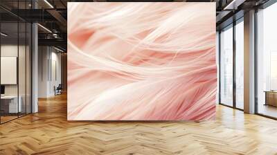 Soft Pink Feathers Texture Background Wall mural