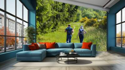 Hiking path in natural reserve of Eifel in Germany as background Wall mural