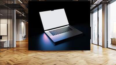 Laptop In Dark Wall mural