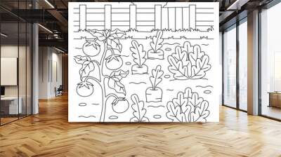 Vegetable Field Coloring Page for Kids Wall mural