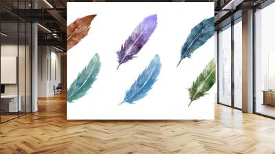 set of watercolor feathers isolated on white background for decoration, card, invitations. hand draw Wall mural