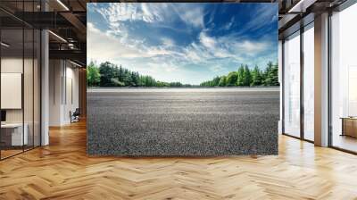 Asphalt road and green forest landscape under the blue sky Wall mural