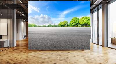 Asphalt road ground and green woods in the countryside nature park Wall mural