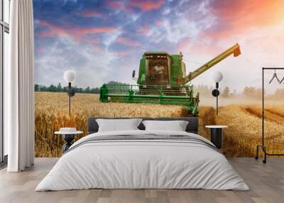 Combine harvester harvest ripe wheat on a farm Wall mural