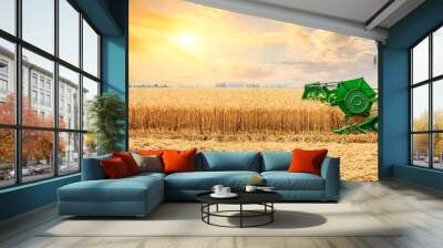 Combine harvester harvesting yellow wheat at sunset Wall mural