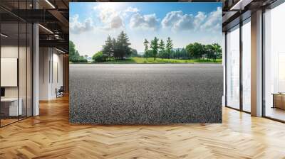 Country asphalt road and green woods nature landscape in summer Wall mural