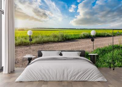 Country road and green farmland landscape in spring season Wall mural