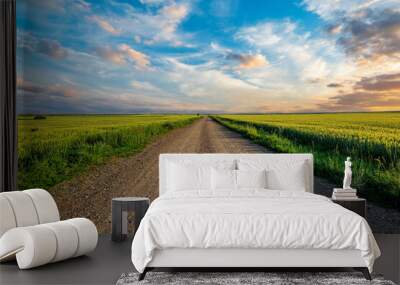 Country road and green wheat fields natural scenery at sunrise Wall mural