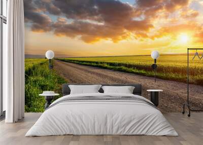 Country road and green wheat fields natural scenery at sunrise Wall mural