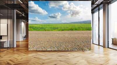 Country road and green wheat fields natural scenery Wall mural