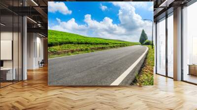 Countryside asphalt road and green tea plantations with mountain natural scenery in Hangzhou on a sunny day. Wall mural