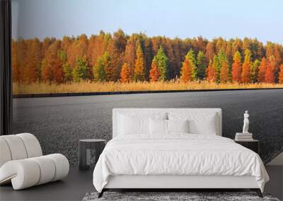 Empty asphalt road and beautiful colorful forest in autumn Wall mural