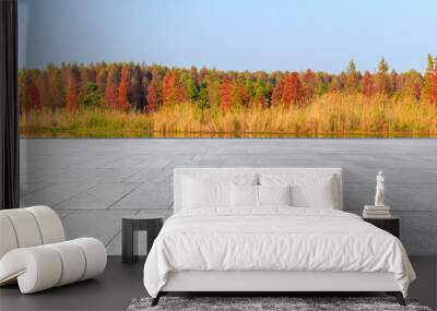 Empty square floor and beautiful colorful forest in autumn Wall mural