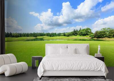 field of green grass and blue sky in summer day Wall mural