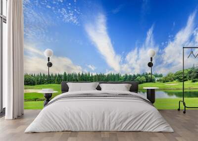 field of green grass and blue sky in summer day Wall mural