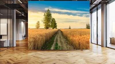 Field road and yellow wheat fields at sunset Wall mural