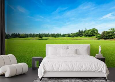 Green field and blue sky Wall mural