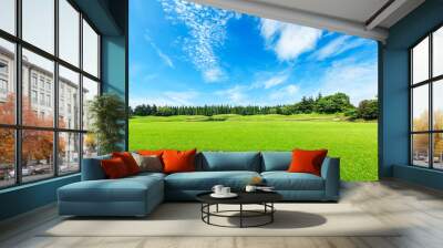 Green field and blue sky Wall mural