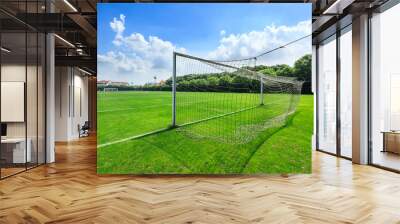 Green football field under blue sky background Wall mural