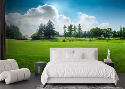 Green grass and blue sky with white clouds in summer season Wall mural