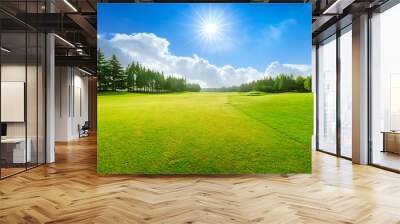 Green grass and blue sky with white clouds in summer season Wall mural