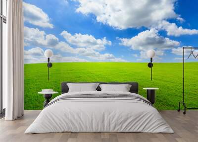 Green grass and blue sky with white clouds Wall mural