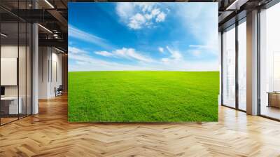 Green grass and blue sky with white clouds Wall mural